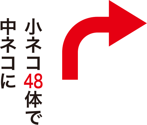 令和6年 初詣のご案内